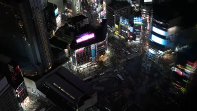 Shibuya from the sky